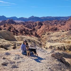 Meet your Posher, Victoria